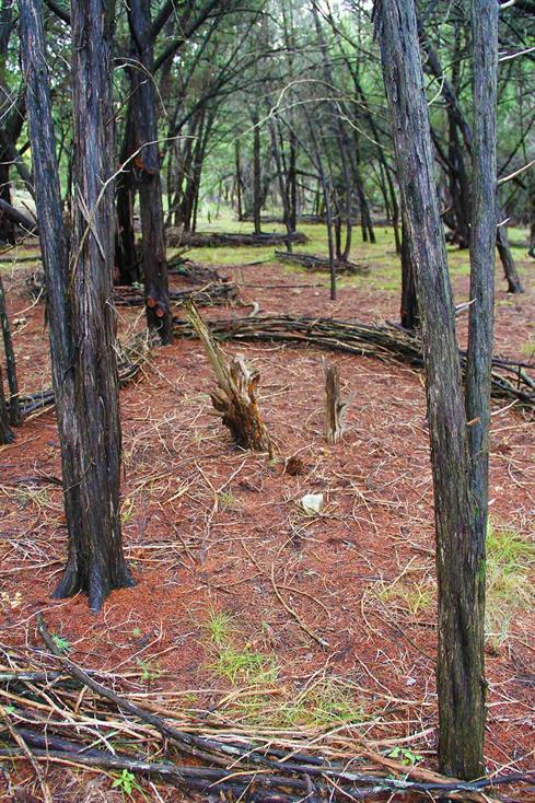 Fine Art Galleries UK