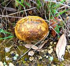 London Uk Photography