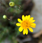 UK London United Kingdom Museum