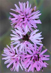 Art Gallery London England UK