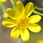 Art Gallery London England UK