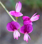 Top Art Gallery in London England