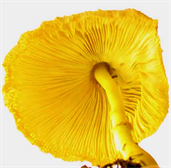 Top Art Gallery in London England UK