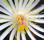 The United Kingdom Museum