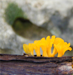 London Art Galleries