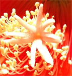 London Uk Art Museums