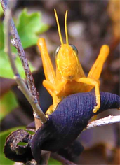 London UK United Kingdom