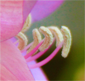 UK Photography Gallery